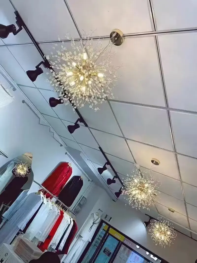 Modern Style Frosted Flower Chandelier