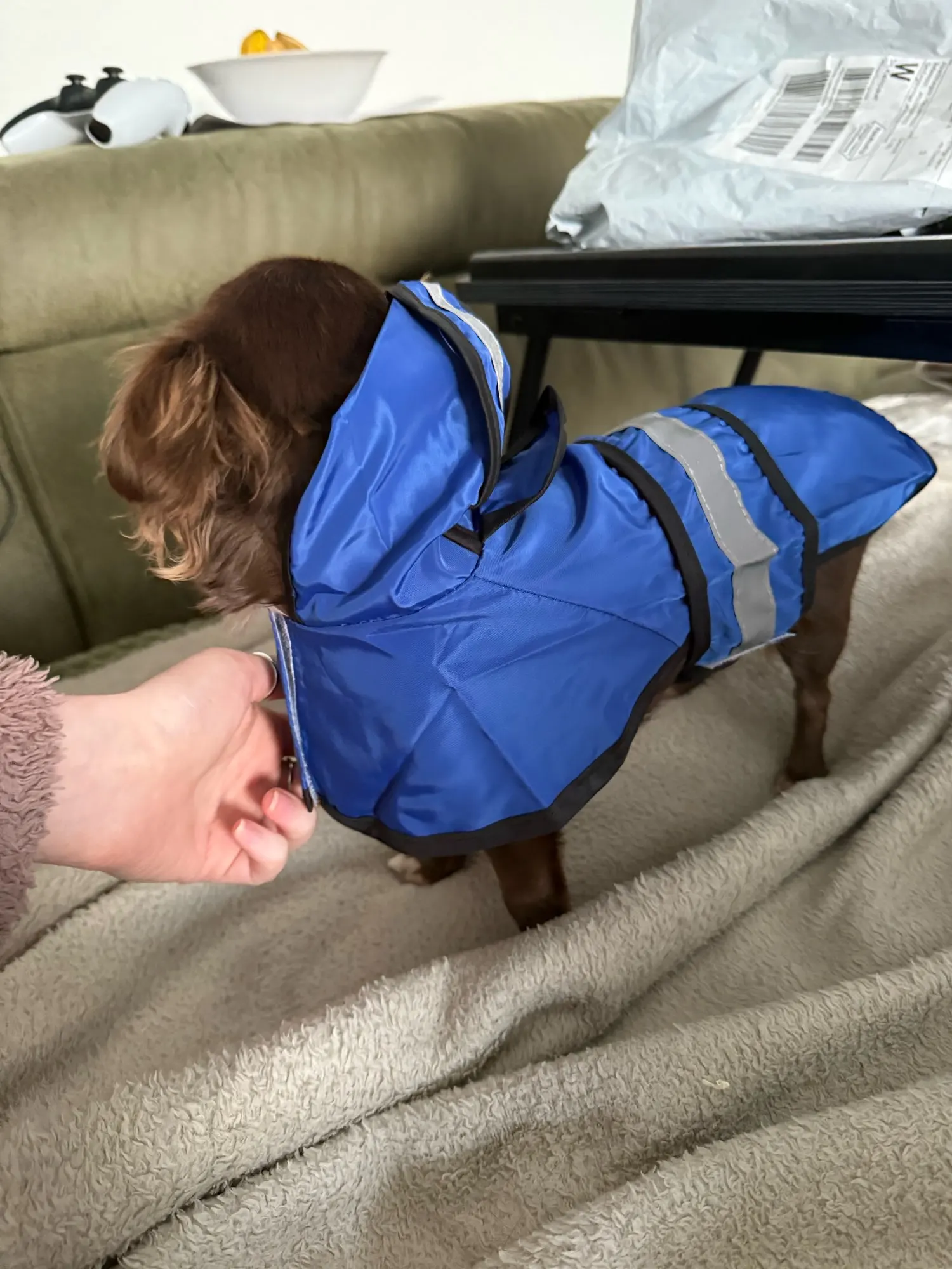 Customer review photo for Waterproof Dog Raincoat — Adjustable, Windproof & Hooded