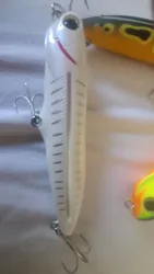 Imagen de reseña 1