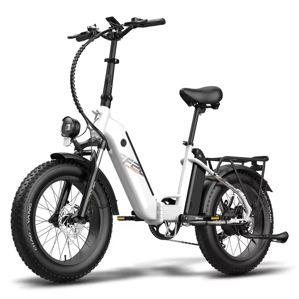 

FF20 Polar Electric Bike 48V 500W Hub-Motor City E-Bike 25km/h Max Speed Dual 10.4Ah Batteries All-Terrain Electric Bicy