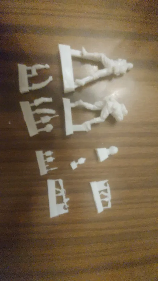 Buyer photo of this resin kit