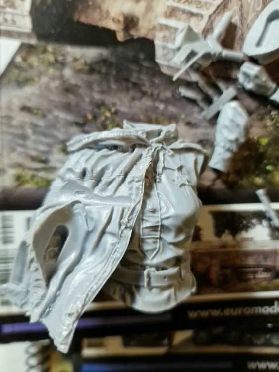 Buyer photo of this resin kit