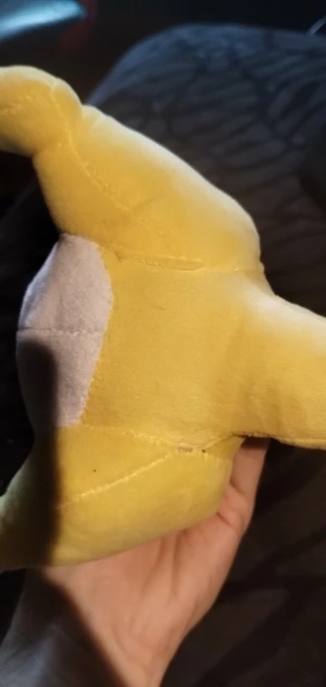 Customer review photo