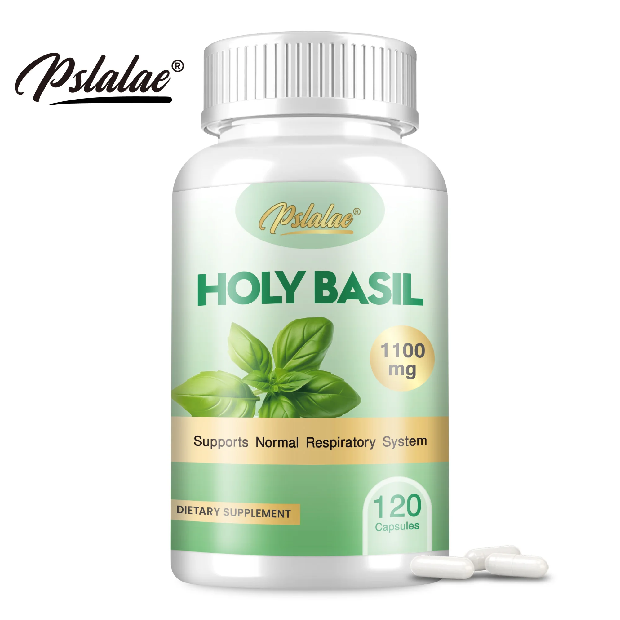 Holy Basil Supplement - Digestive Health, Cognitive Function Improvement, Antioxidant, Stress Relief - 120 Capsules