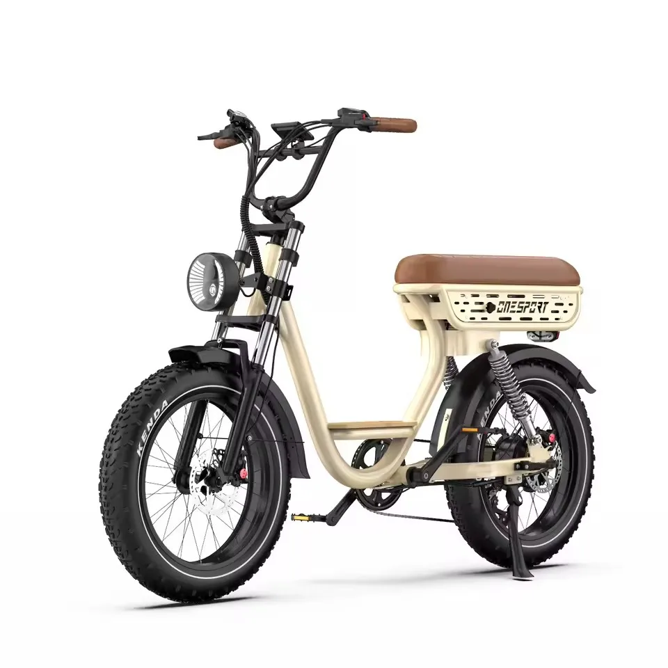 

W77 Adult City Commuter Electric Bike 250W Motor 48V 18AH Battery 20 Inch Fat Tires All-Terrain Electric Bike