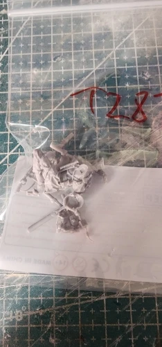 Buyer photo of this resin kit