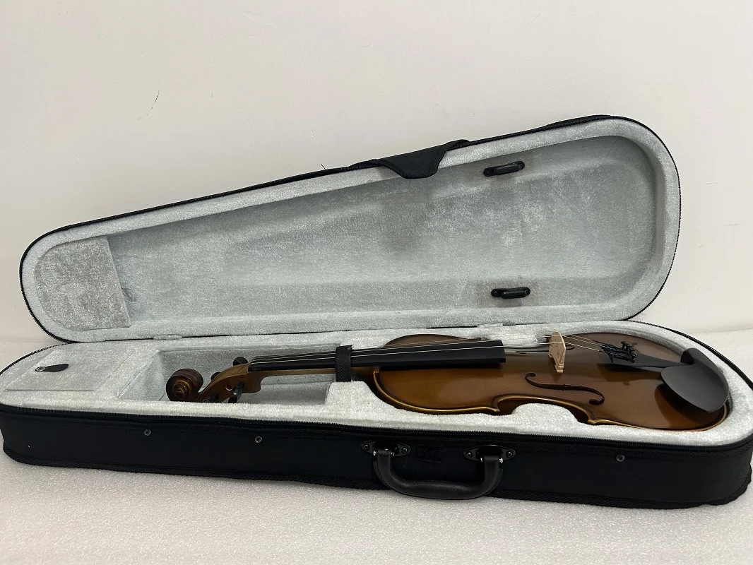 

Professional Full Size Student Violin Outfit – Great Sound with Case and Brazilwood Bow