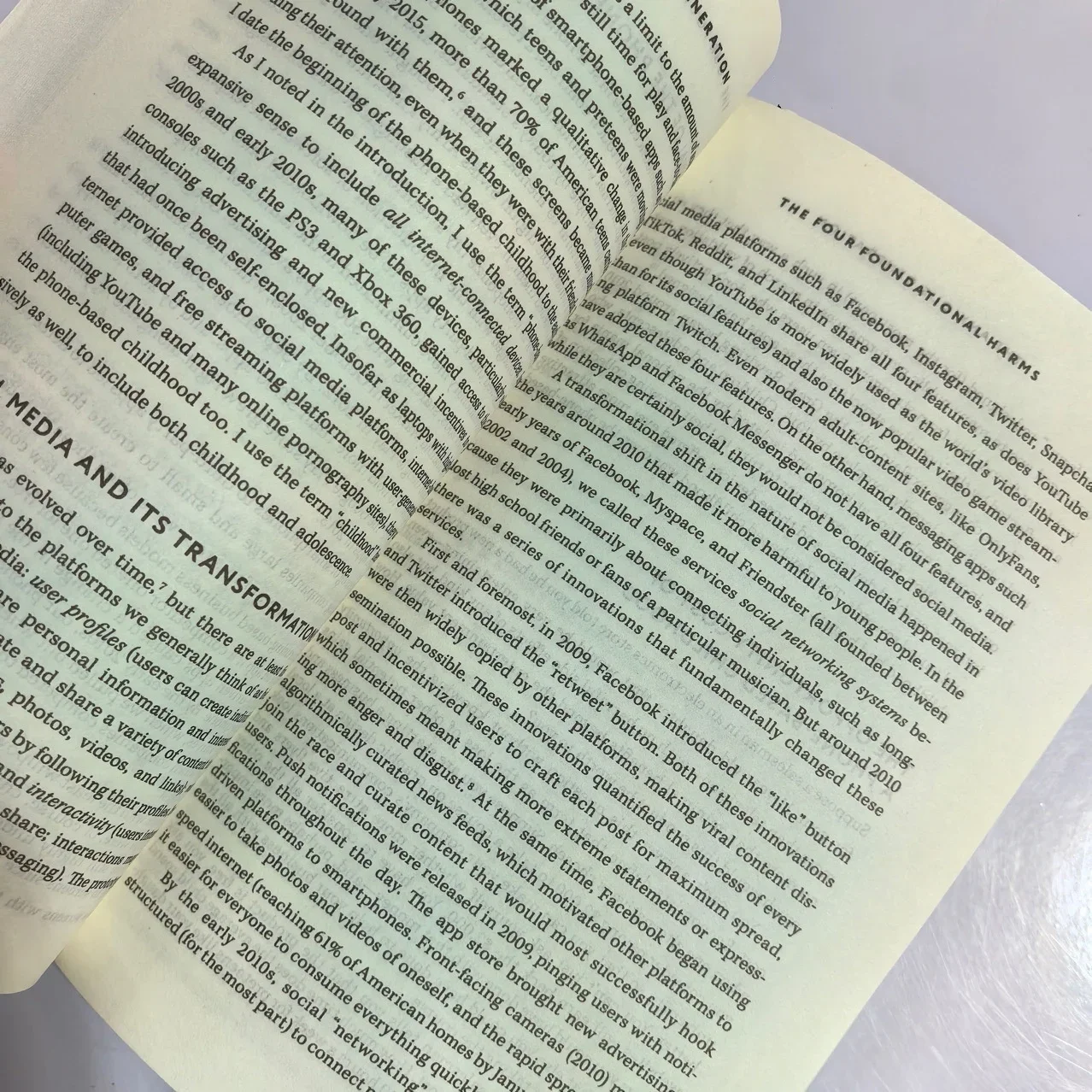 Bview Art The Anxious Generation Handbook: Beat Digital Stress & Boost Mental Health