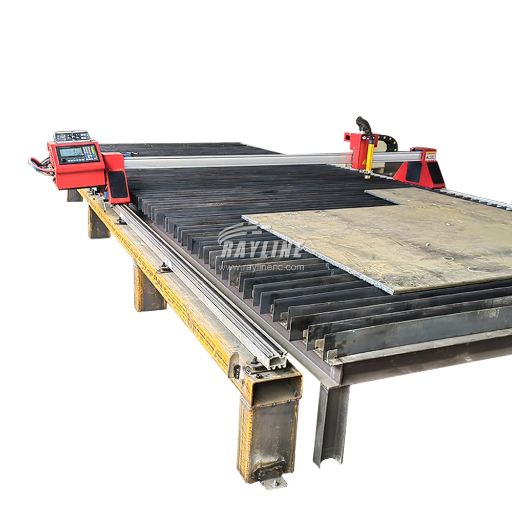 

Gantry Type CNC Plasma Cutting Machines Portable CNC Plasma Cutter with 220V New and Used Condition for Steel Industries