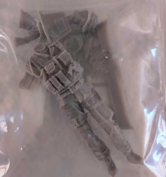 Buyer photo of this resin kit