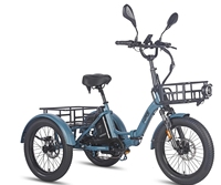 Fafrees F20 Mate Folding Electric Tricycle 500W 48V 21Ah Electric Trike Outdoor 20\