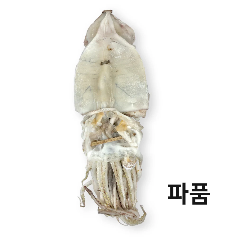 원양산 파품 국내가공 반건조 오징어 1kg