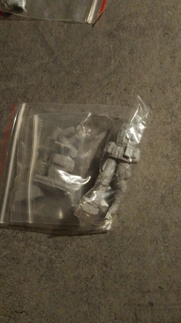 Buyer photo of this resin kit