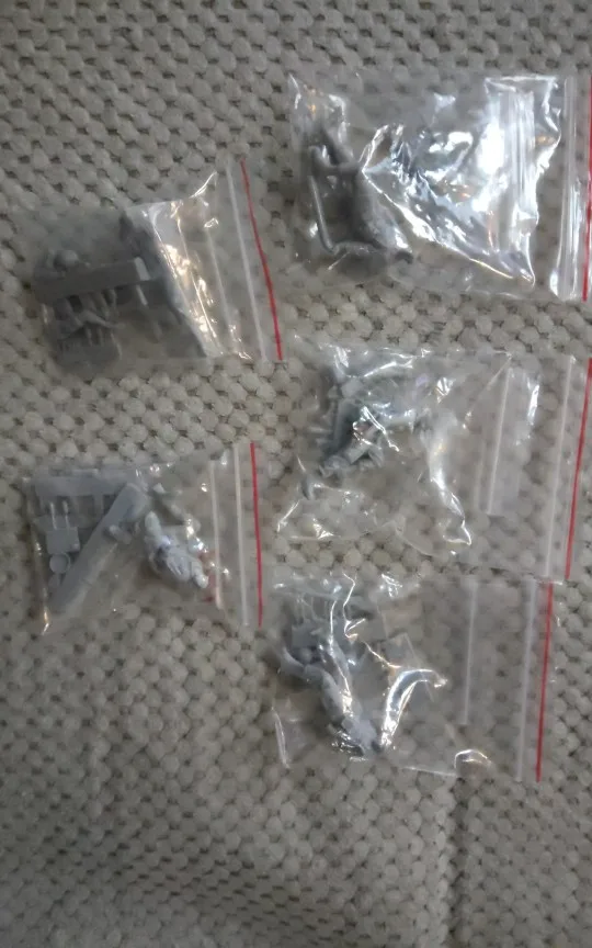 Buyer photo of this resin kit
