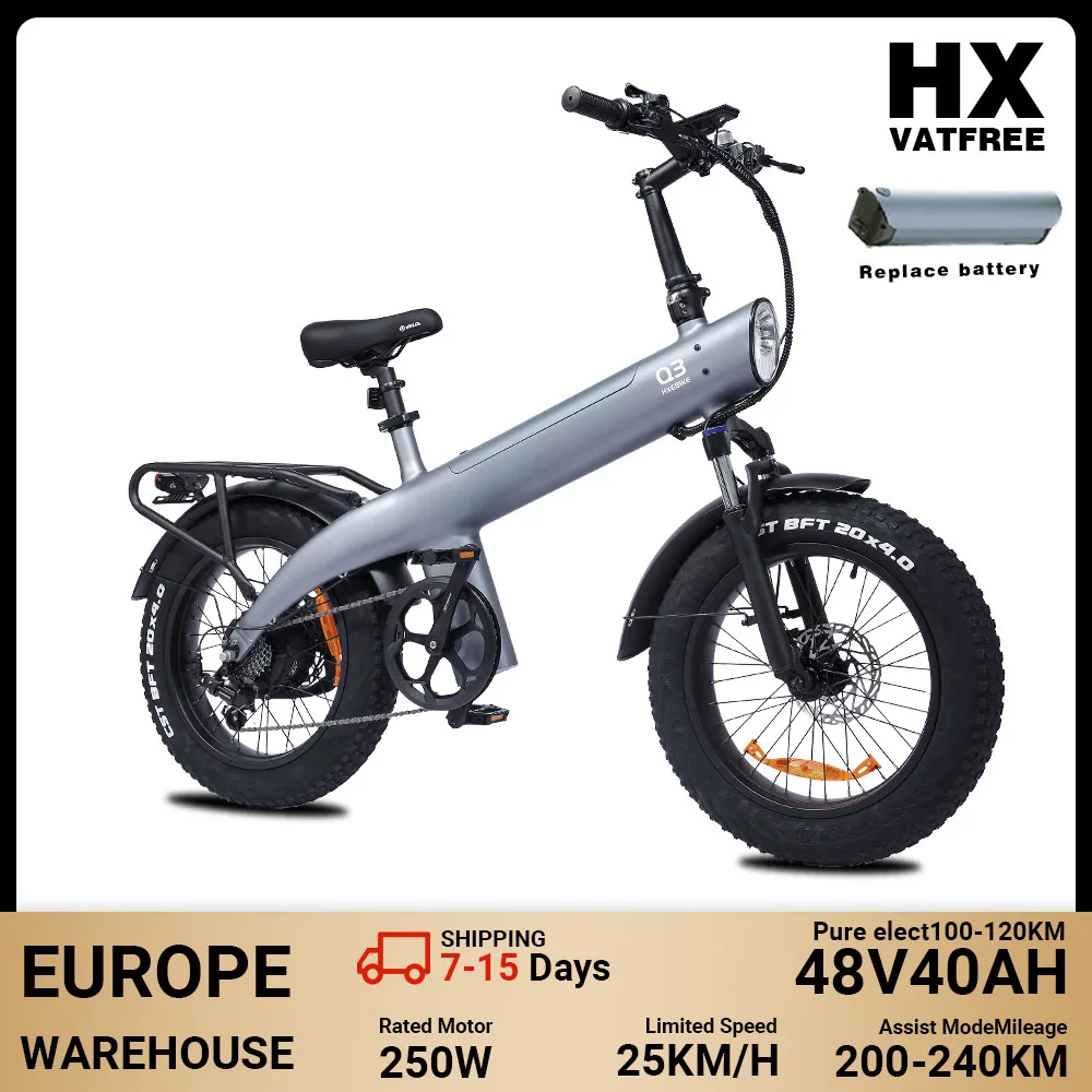 HX Q3 elektrische bakfiets voor volwassenen, 250W, 25 km/u, 48V, 20Ah, 960Wh, uitneembare accu, 20×4.0 dikke banden, 115Nm hoog koppel, hydraulische schijfremmen, 7-versnellingen, achterdrager, 300 kg