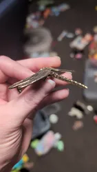 Imagen de reseña 3