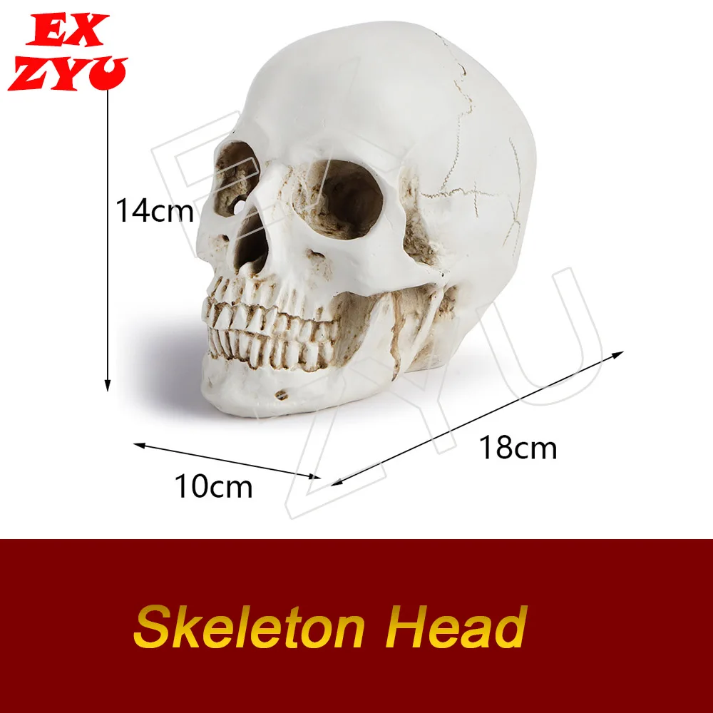 

1:1 Skeleton Head Model Resin Craft Skull High Quality Statues Sculptures Replica Skull Decor Escape Room Real Life Games EX ZYU