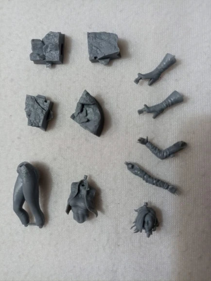 Buyer photo of this resin kit