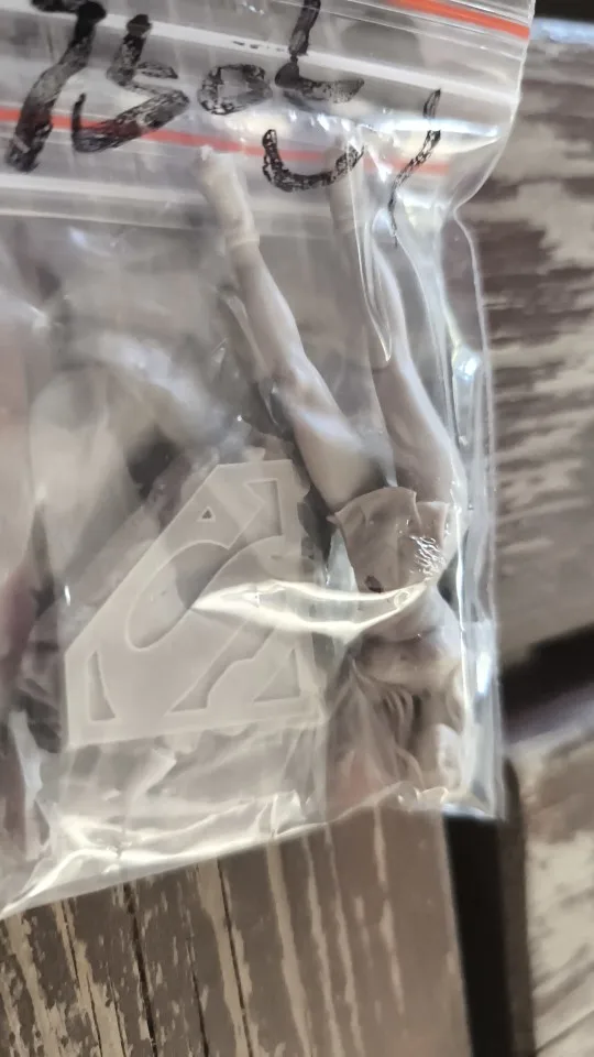 Buyer photo of this resin kit