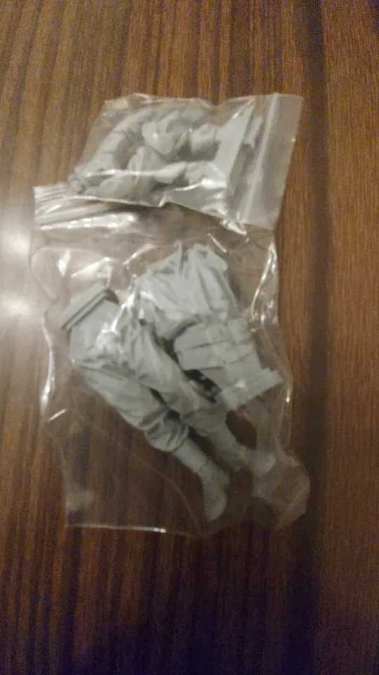 Buyer photo of this resin kit