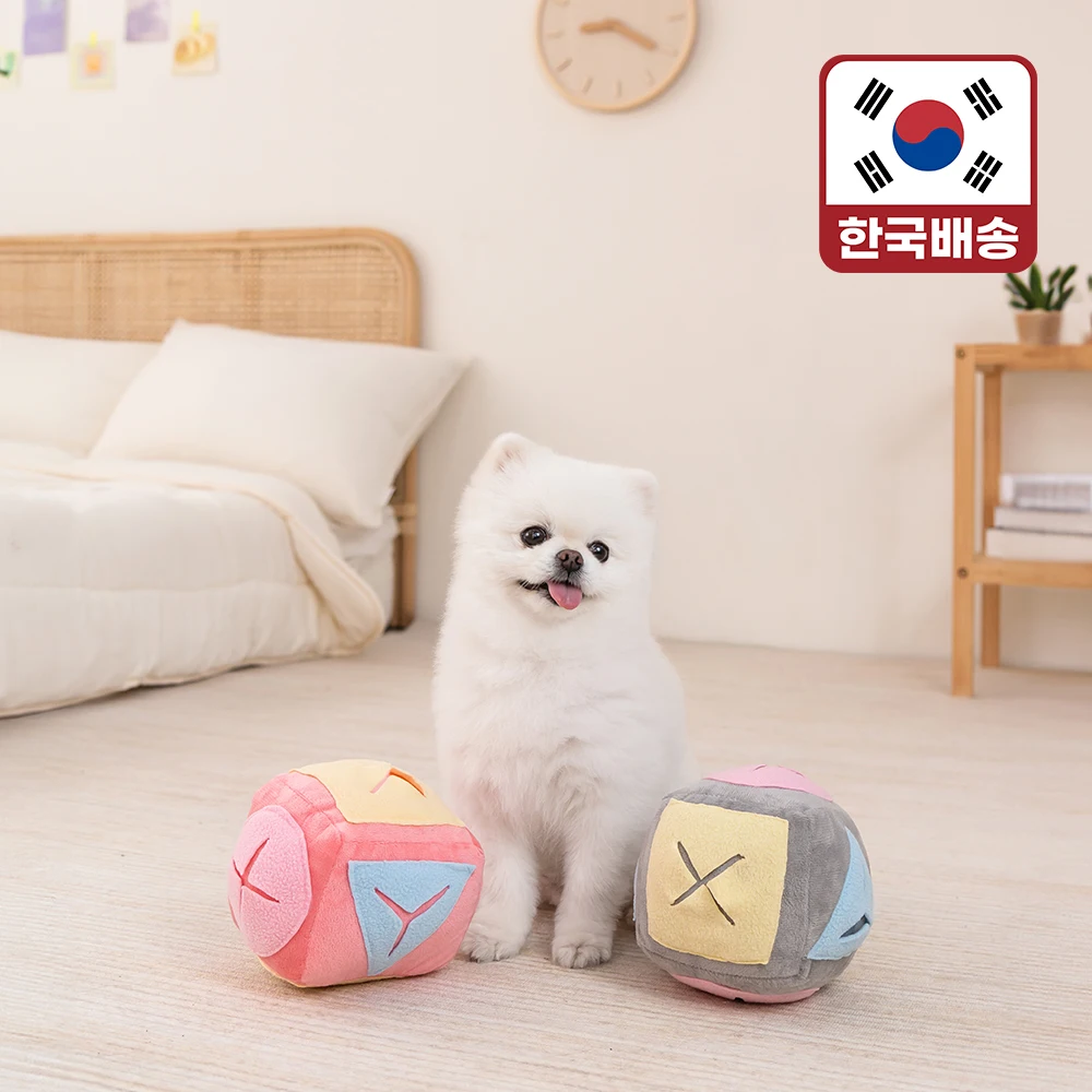 Leto-juguetes para cachorros, juguete para caminar, cubo, bola, LDG-NW03