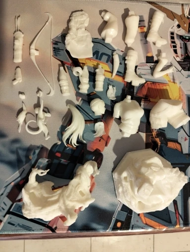 Buyer photo of this resin kit