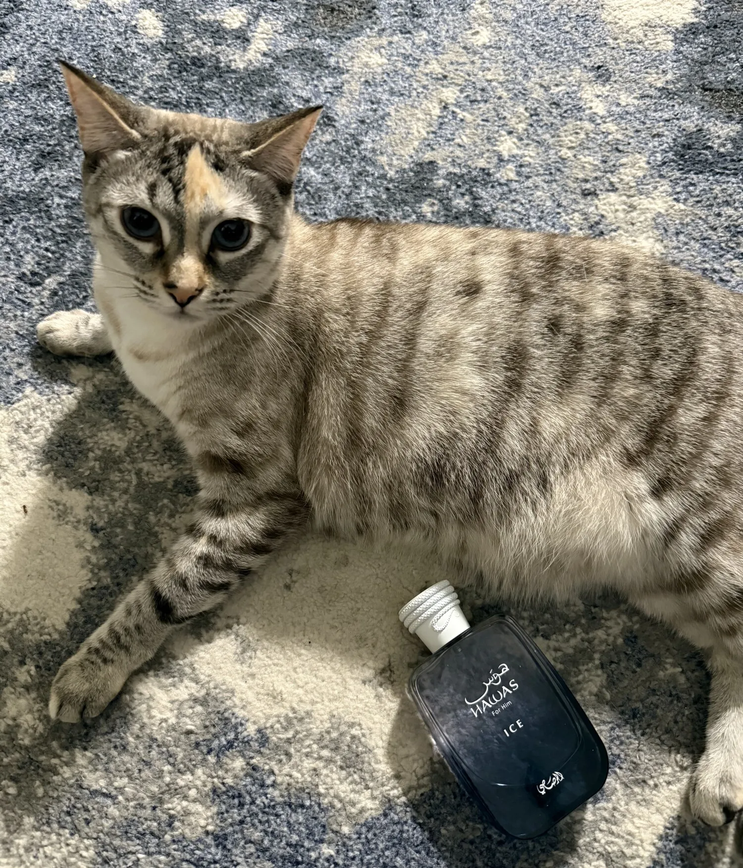 Rasasi Hawas Ice For Men Eau D - Perfume Fresh Fragrance recension och pris