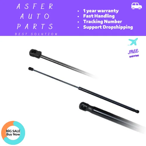 Tailgate Gas Spring Strut Lift Cylinder Support For Renault Clio III Hatchback 8200299546 (Pack of 2 /2005-2012) Car Accessories