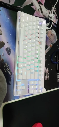 실물 포토 리뷰