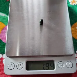 Imagen de reseña 2