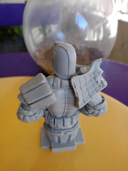 Buyer photo of this resin kit