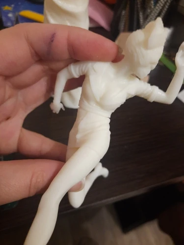 Buyer photo of this resin kit