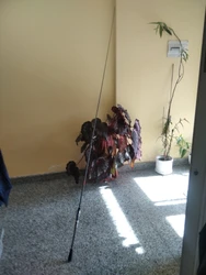 Imagen de reseña 3