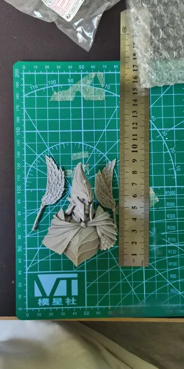 Buyer photo of this resin kit