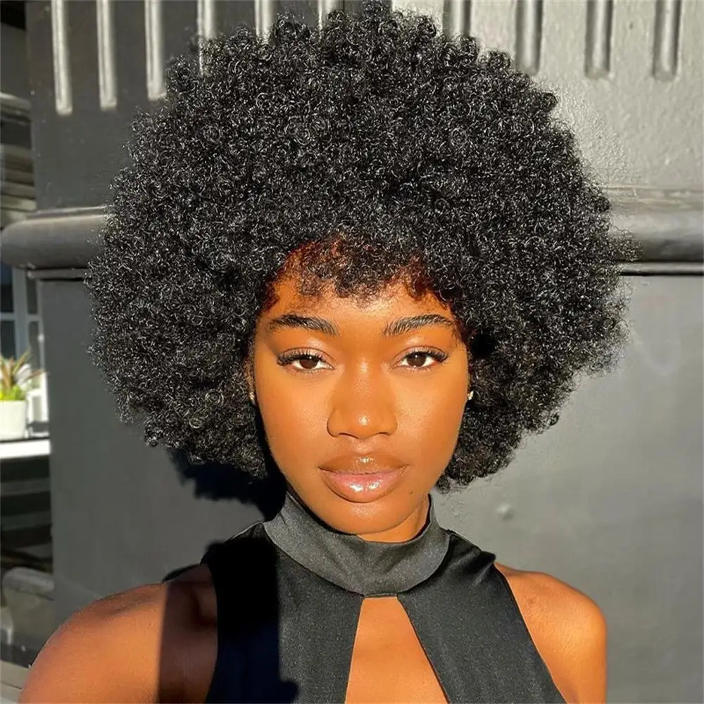 Afro Kinky Curly 100% Echthaar 250% Dichte Vollmaschinenperücke Brasilianisches Jungfrauenhaar Perücke für Frauen Weich und Seidig – Detail 1