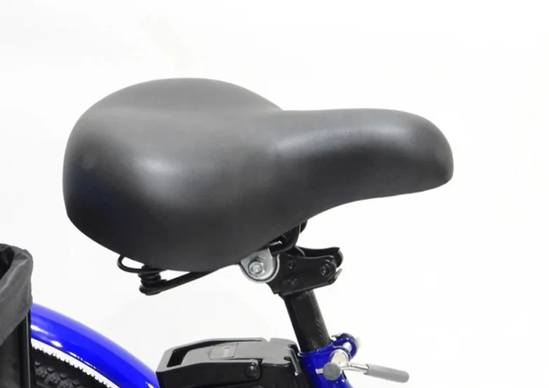 Triciclo Elétrico de 24 polegadas 36V 250W Bicicleta de Três Rodas E-Bike