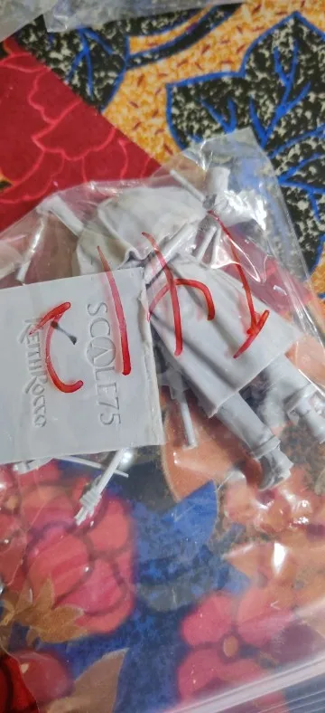 Buyer photo of this resin kit