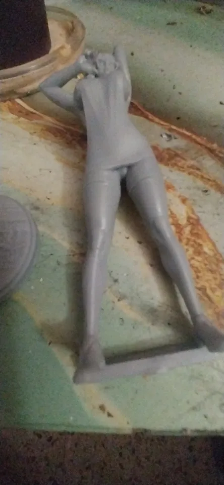 Buyer photo of this resin kit