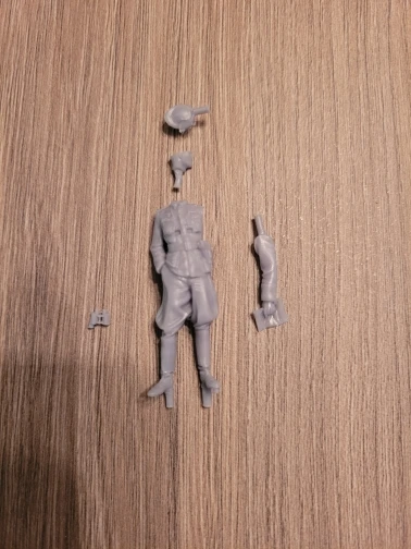 Buyer photo of this resin kit