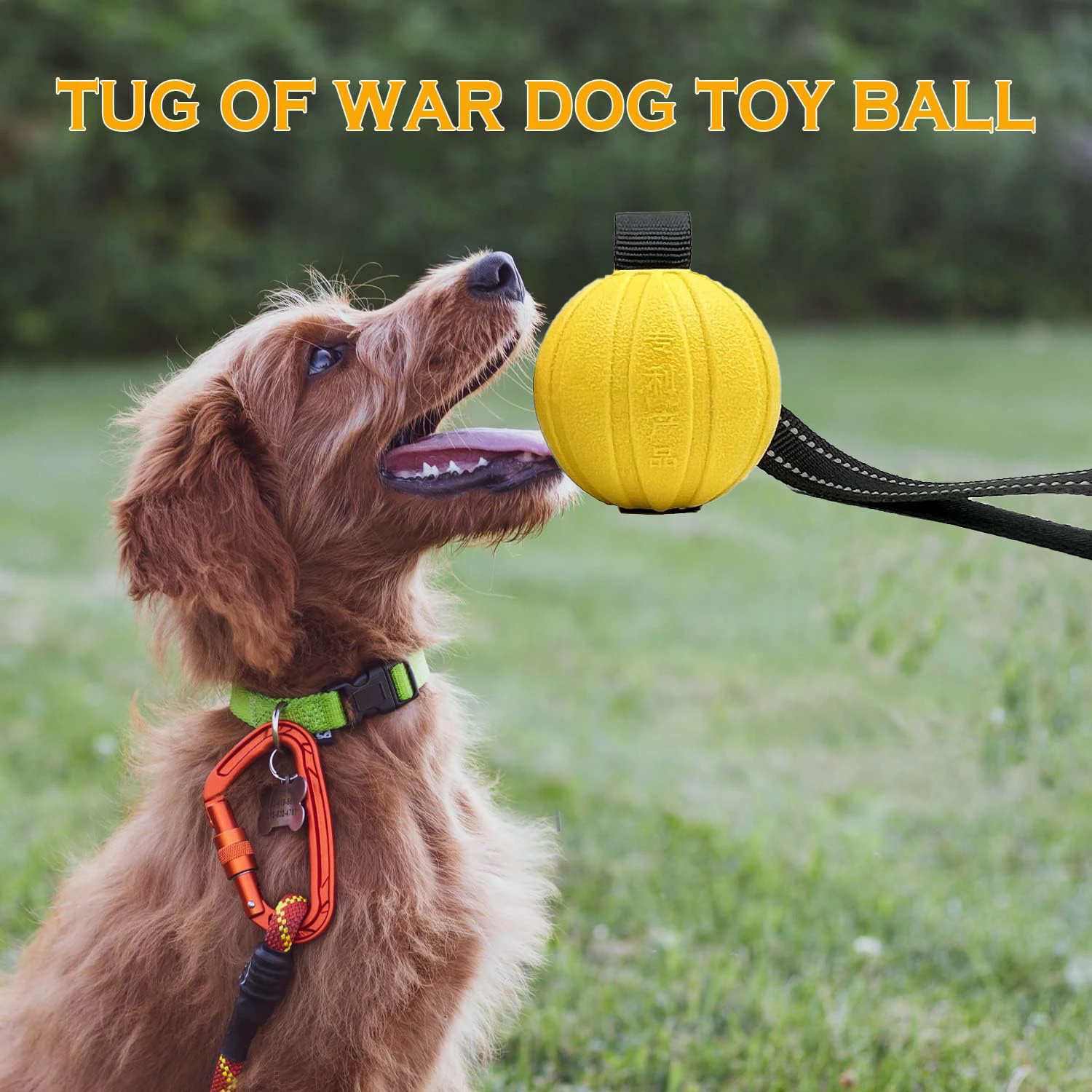 Hundespielzeugblle auf einem Seil fr Kauer kleiner, mittelgroer und groer  Hunde, langlebiger interaktiver Ball zum Trainieren von Hunden,  Ballschwimmer aus EVA-Schaum - AliExpress 15