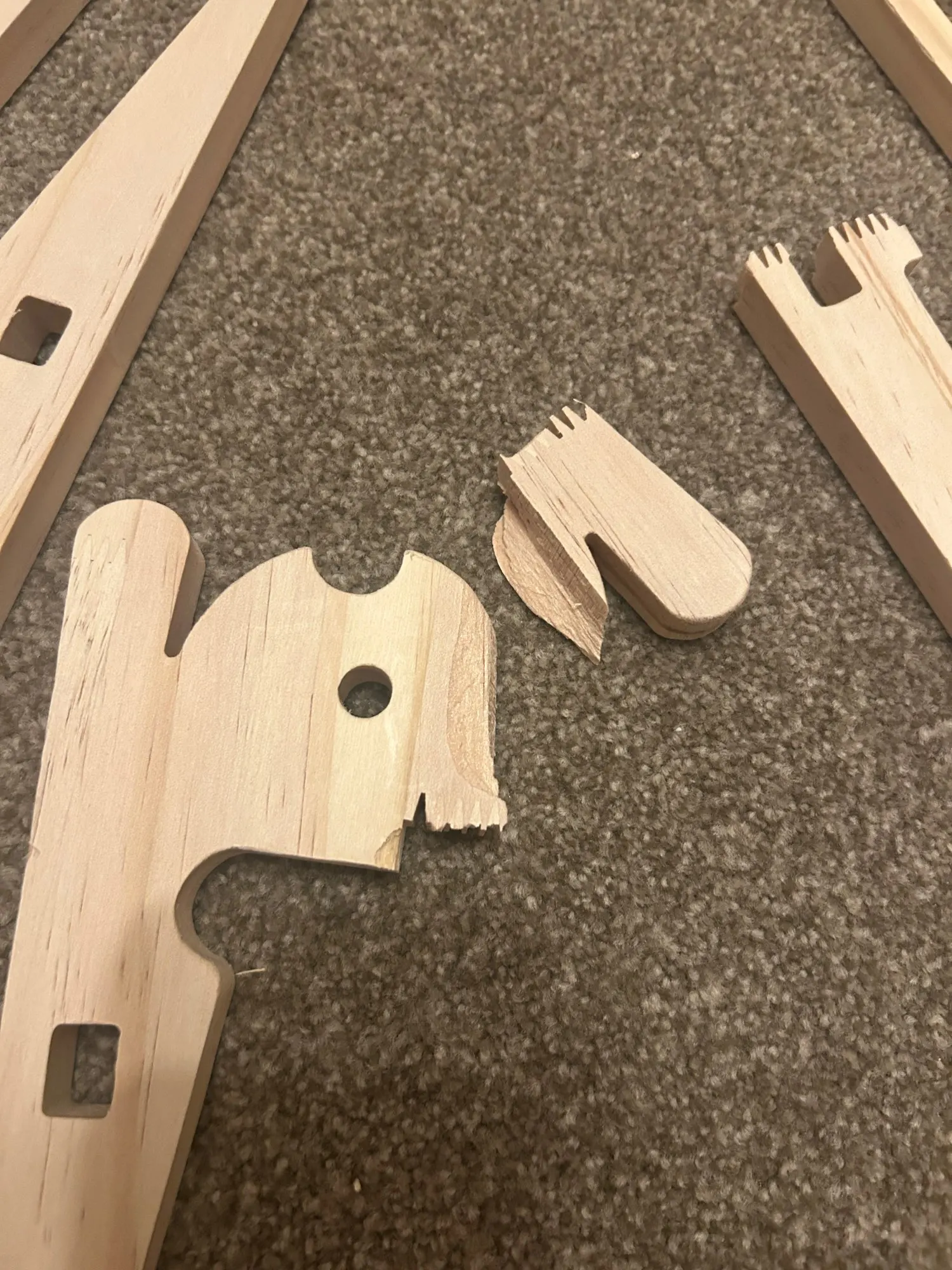 Customer review photo