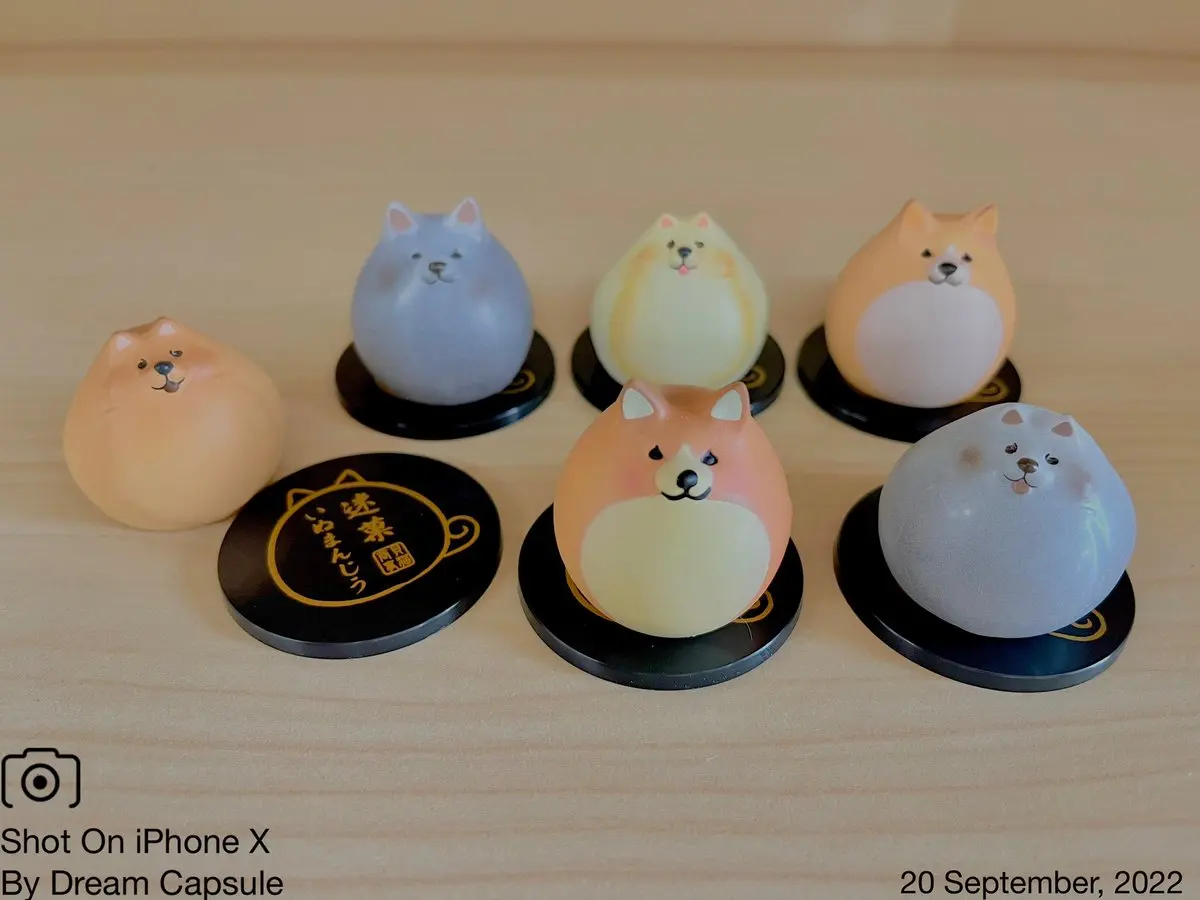 Stasto stand stone gashapon toys Animal Attraction shiba inu corgi pome Kaineko Shoji Meika Inumanju 2 Hospitality figures