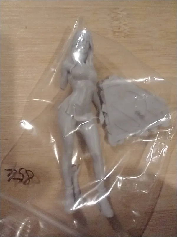 Buyer photo of this resin kit