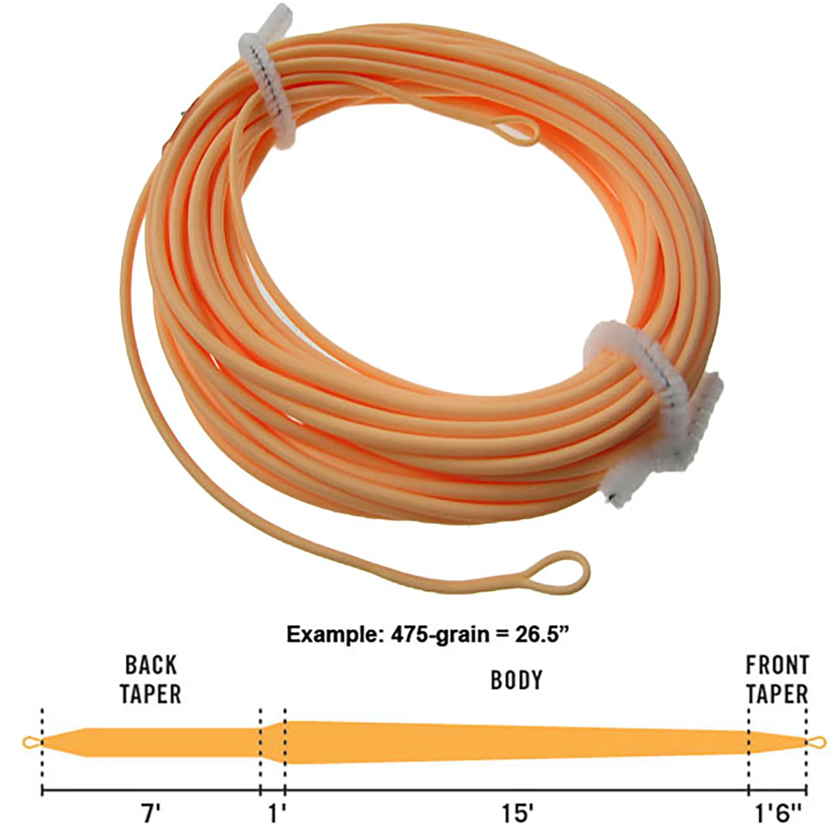 Aventik cabeza de tiro flotante Skagit para pesca con mosca