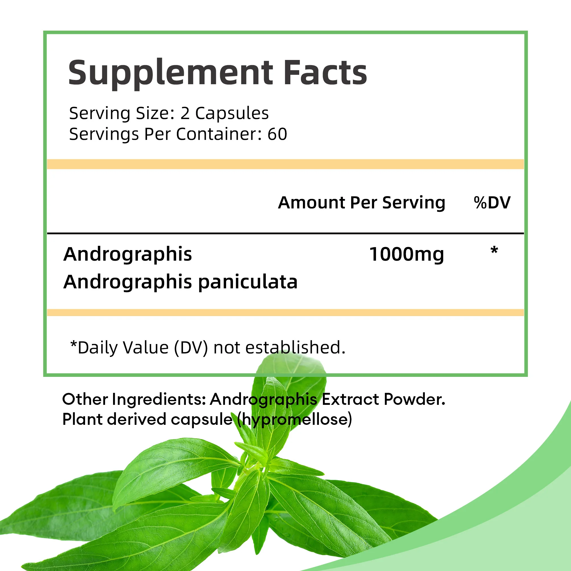 Andrographis - Kidney Health, Supports Detoxification and Cleansing, Joint Supplements - 120 Capsules