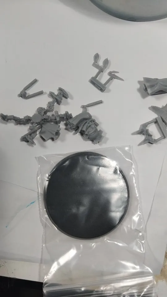 Buyer photo of this resin kit