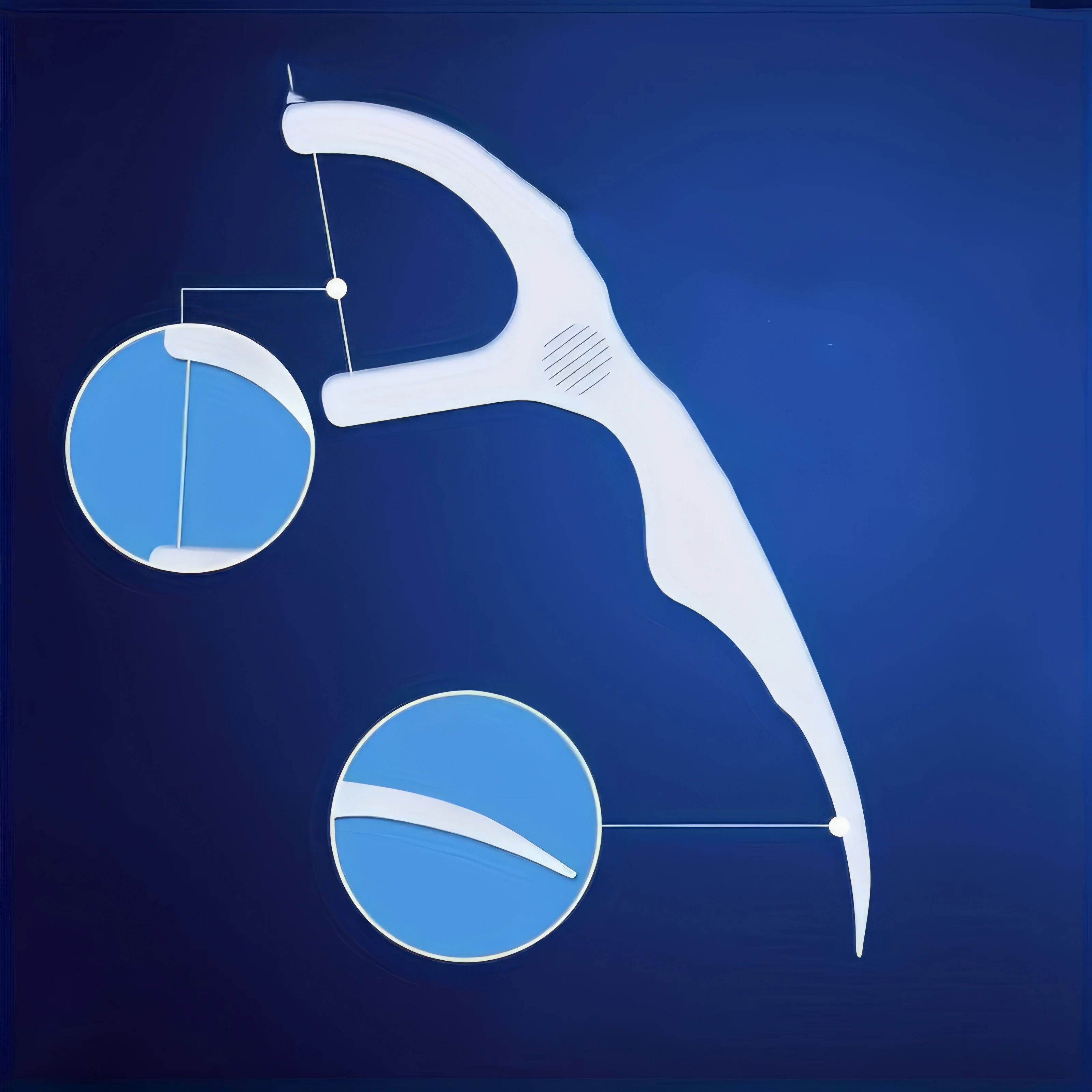 デンタルフロス50パック、歯間の残留物を効率的に除去、家族旅行や携帯に最適