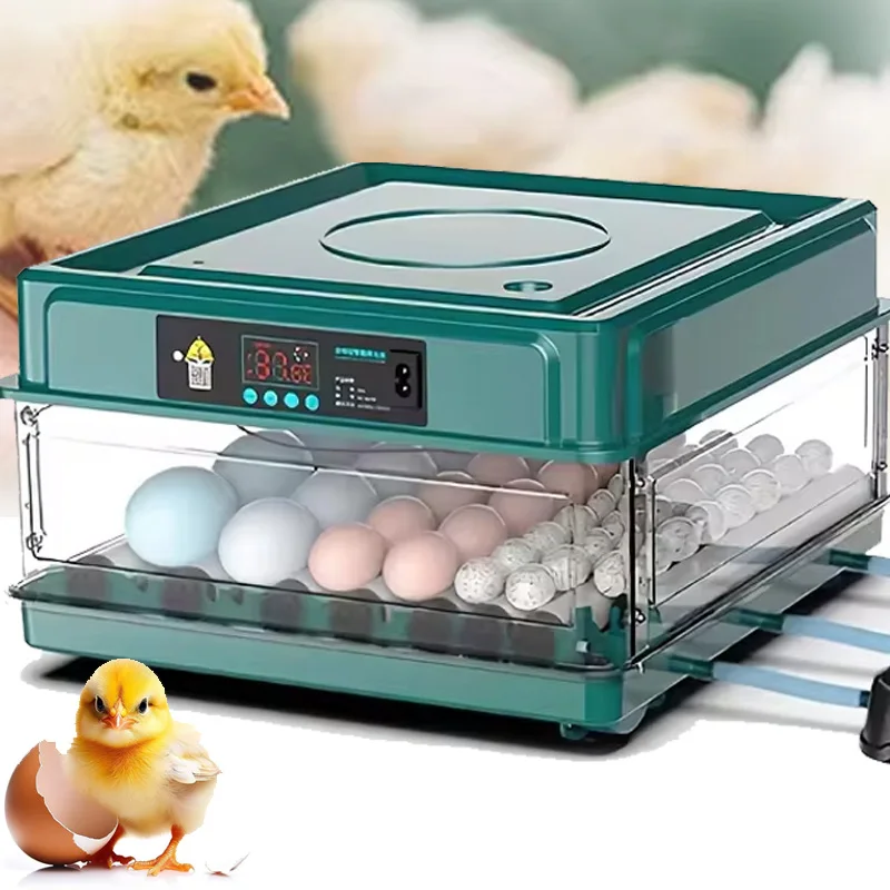 Incubadora de huevos de 24/36 con cajón, incubadora de huevos con plasificación automática de camas de agua iônicas y Control de temperatura