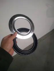 116*170*14.9 mm or 116X170X14.9 mm with metal ring for hydraulic pump or hydraulic motors