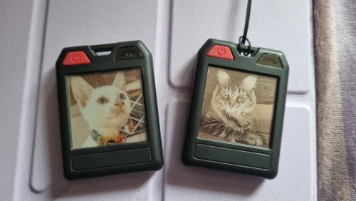 실물 포토 리뷰